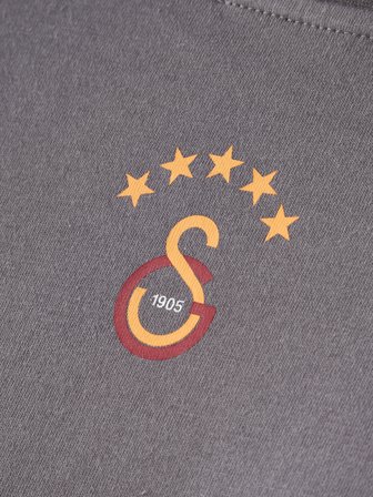 Galatasaray Erkek T-Shirt E261084