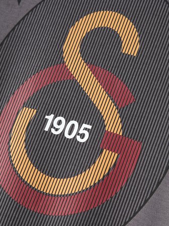 Galatasaray Erkek T-Shirt E261077