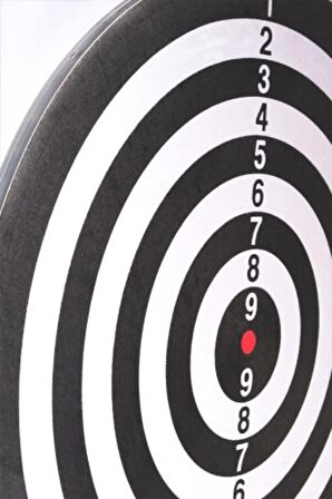 Dart Seti 43 cm (17 İnç) + 6 Dart Oku (6 Gr) Hedef Tahtası
