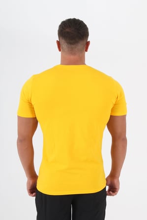 Diadora Satürn Antrenman T-Shirt Sarı