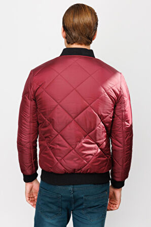 Erkek Mürdüm   Mont