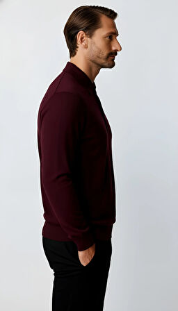 Mürdüm Standart Fit Dar Kalıp Polo Yaka Düz Uzun Kollu  Triko