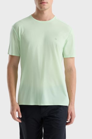 Isaora Logolu Regular Fit Bisiklet Yaka T Shirt Erkek T SHİRT ISR9021 MGRN MİNT