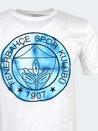 ERKEK TRIBUN SPREY BASKILI LOGO TSHIR