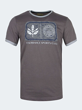 ERKEK TRIBUN FB PALAMUT TSHIRT