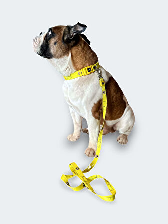 FB YELLOW GEZDİRME KAYIŞI