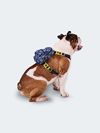 FB PET CANTA ARMA LOGO