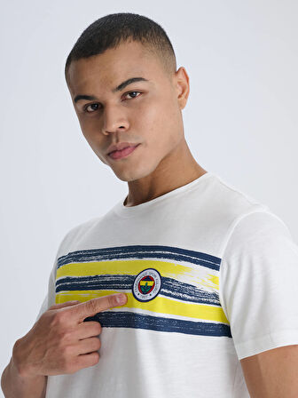 ERKEK TRIBUN BRUSH ŞERİTLİ TSHIRT