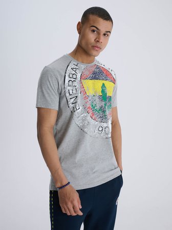 ERKEK TRIBUN GRİ 6 RENK LOGOLU TSHIRT