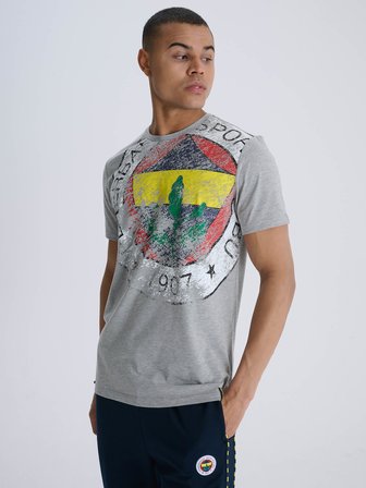 ERKEK TRIBUN GRİ 6 RENK LOGOLU TSHIRT