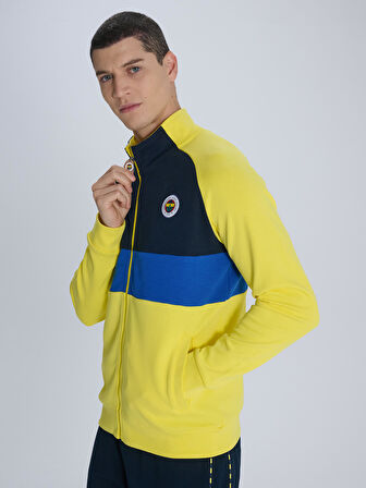 ERKEK TRIBUN RENK BLOKLU SWEAT