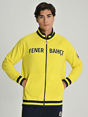 ERKEK TRIBUN SARI LACİVERT SWEAT