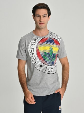 ERKEK TRIBUN 6 RENK LOGOLU TSHIRT