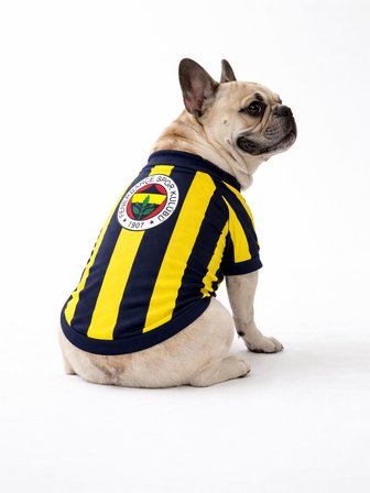 FENERBBAHÇE PET TSHIRT