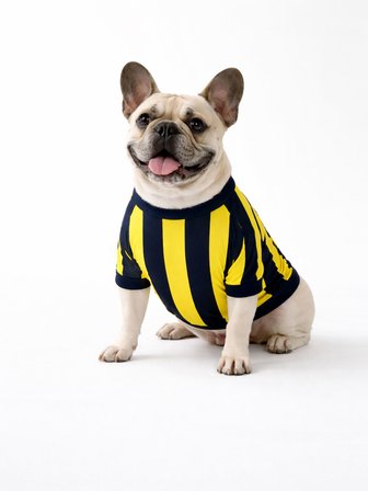 FENERBBAHÇE PET TSHIRT