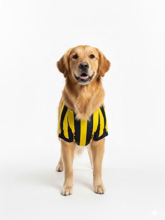 FENERBBAHÇE PET TSHIRT