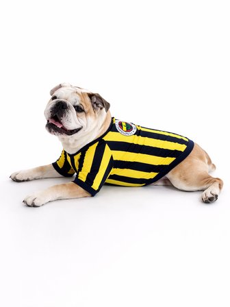 FENERBBAHÇE PET TSHIRT