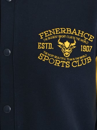 ERKEK KOLEJ FENERBAHÇE SPORTS CLUB SW