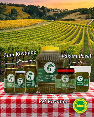 VAKUMLU SALAMURA YAPRAK(500 gr)