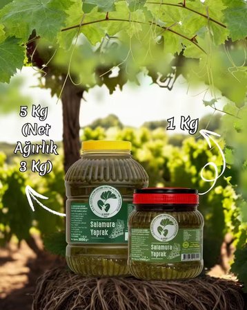 Coğrafi İşaretli Alaşehir Salamura Asma Yaprağı 1 kg 