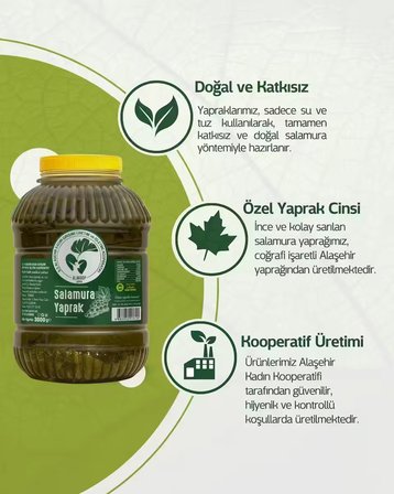 Coğrafi İşaretli Alaşehir Salamura Asma Yaprağı 3 Kg 