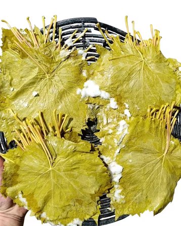 Coğrafi İşaretli Alaşehir Salamura Asma Yaprağı 3 Kg 