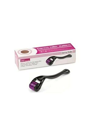 1.00 MM Titanyum Uçlu Derma Roller 540 İğneli