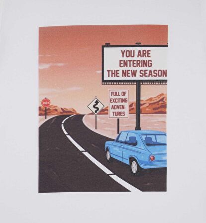 ERKEK ÇOCUK BASKILI t-shirt 