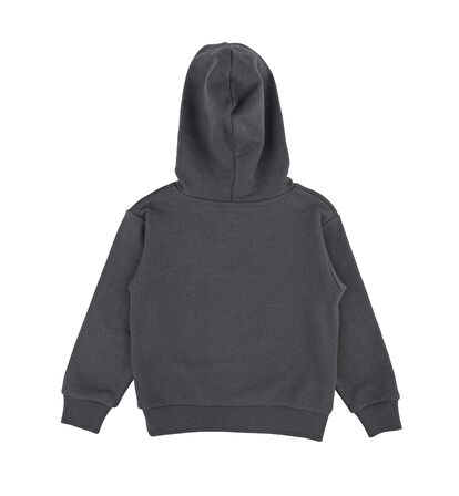 Erkek Çocuk Kapüşonlu Sweatshirt