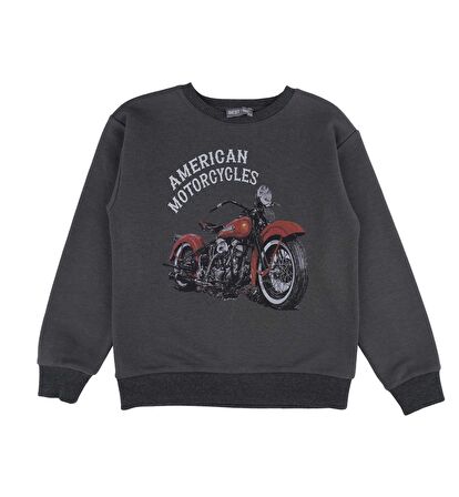 Erkek Çocuk Baskılı Sweatshirt