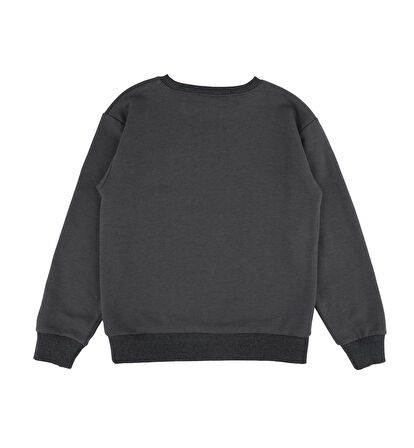 Erkek Çocuk Baskılı Sweatshirt