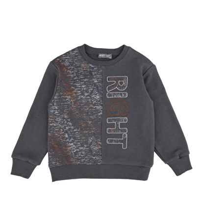 Erkek Çocuk Sweatshırt 