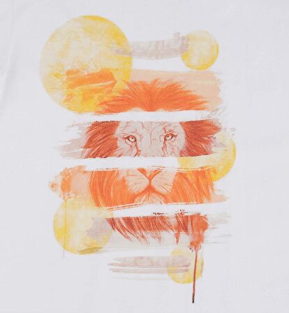 ERKEK ÇOCUK BASKILI t-shirt