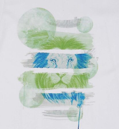 ERKEK ÇOCUK BASKILI T-SHIRT