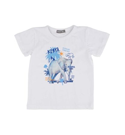 ERKEK ÇOCUK BASKILI T-SHIRT