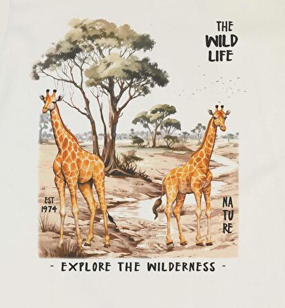 ERKEK ÇOCUK BASKILI t-shirt