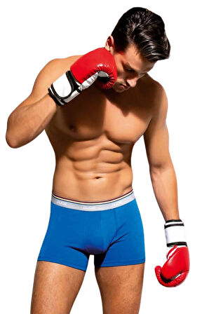 Looksense Erkek Dude Renkli Likralı Boxer 1300