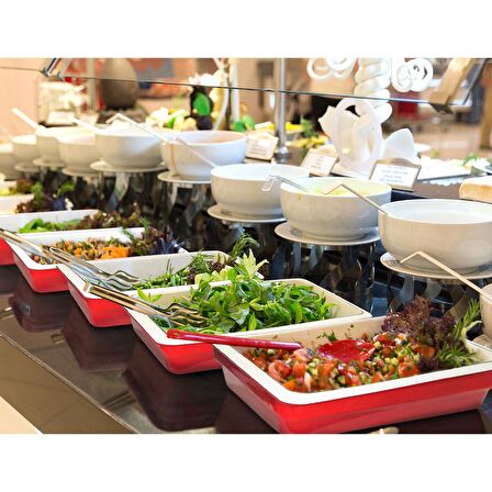 Lava Döküm GN 1/2 Gastronorm küvet.Ölçü 26x33cm. - Turuncu