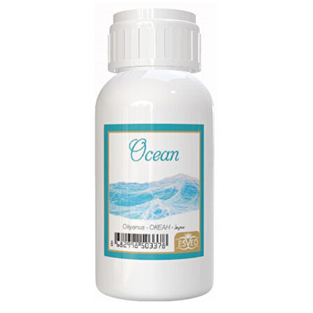 Okyanus Kokusu 100 Ml Çubuklu Oda Kokusu Yedek Dolum Şişesi Hediyeli