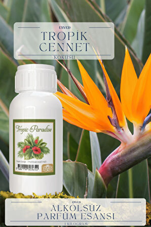 Tropik Cennet Kokusu  Toptan Parfüm Esansı 1 Kilogram