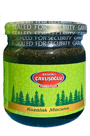 Kozalak Macunu 240g