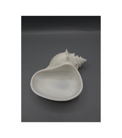 3d Deniz Kabuğu Kasesi Modern Tasar