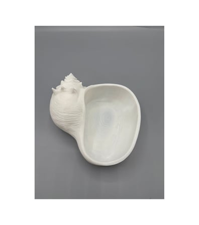 3d Deniz Kabuğu Kasesi Modern Tasar