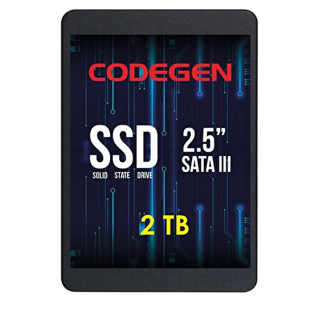 Codegen Sata 3.0 256 GB SSD