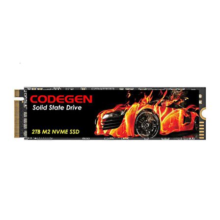 Codegen PCIe 2 TB SSD