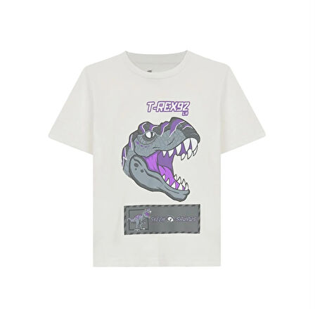 Graphic Tee B Çocuk T-Shirt SK241093-102