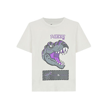 Graphic Tee B Çocuk T-Shirt SK241093-102