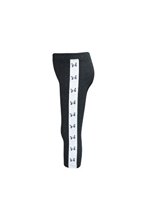 Antrasit Kız Çocuk Şardonlu Yanda Panda Baskılı Tayt