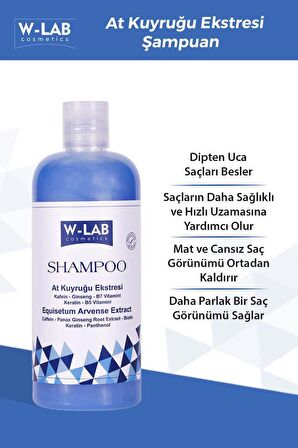 Hızlı Uzamaya Yardımcı Bakım Şampuanı 400 ML