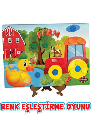 Kidsan Renk Eşleştirme Oyunu